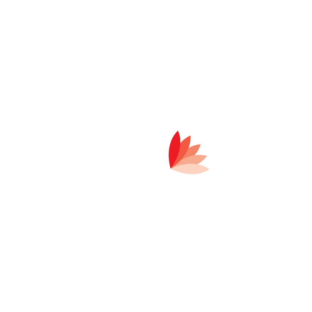elektra web
